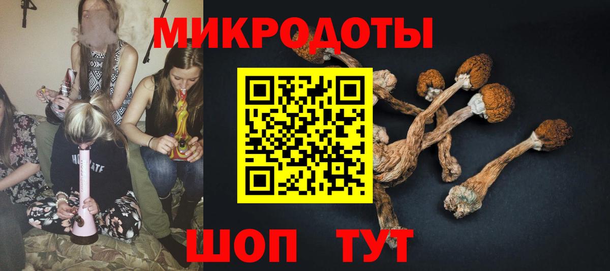 Псилоцибиновые грибы GOLDEN TEACHER  Вход с VPN  Галлюциногенные грибы мицелий  Луга 